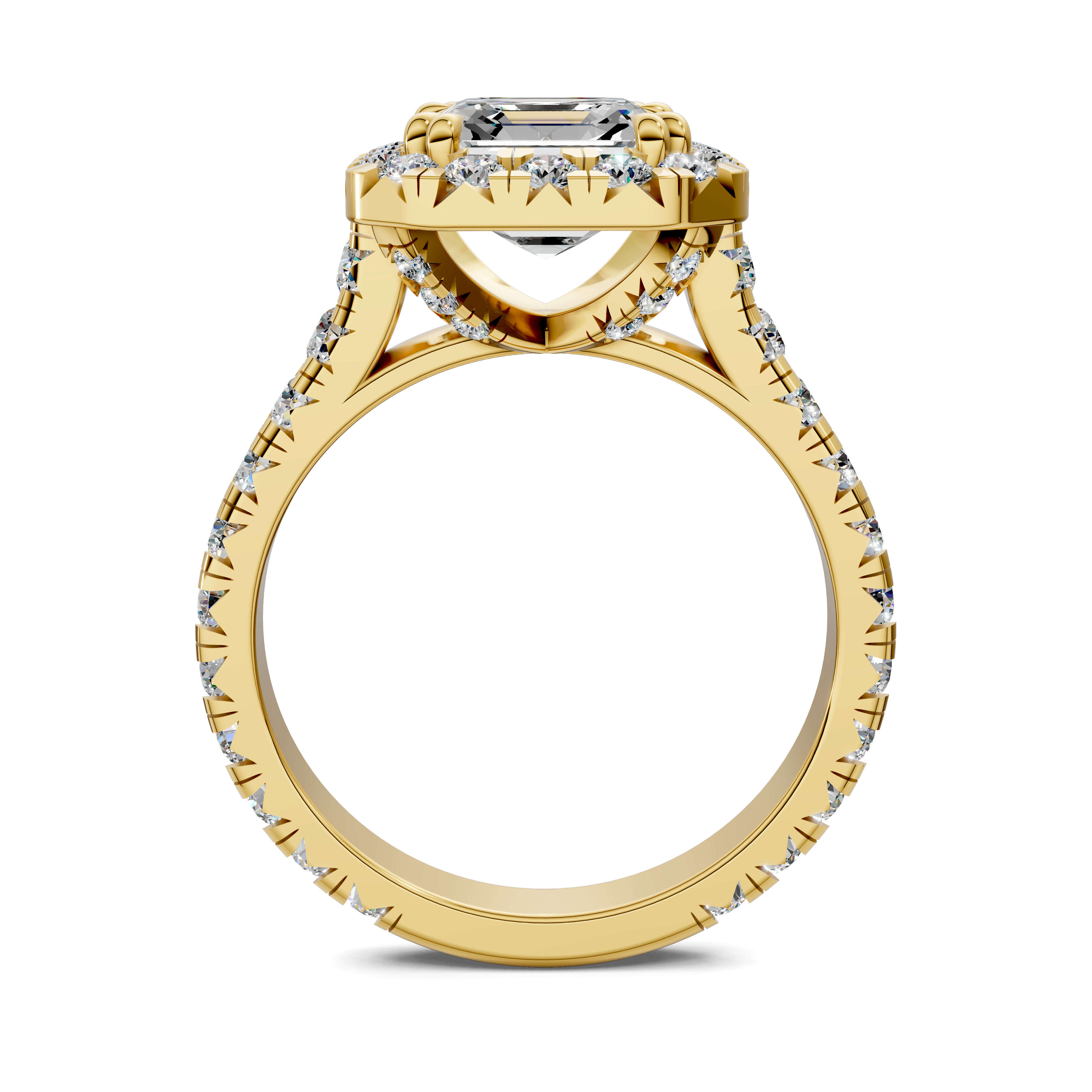 Doris Asscher Halo Three-Quarter Coverage Diamond Ring