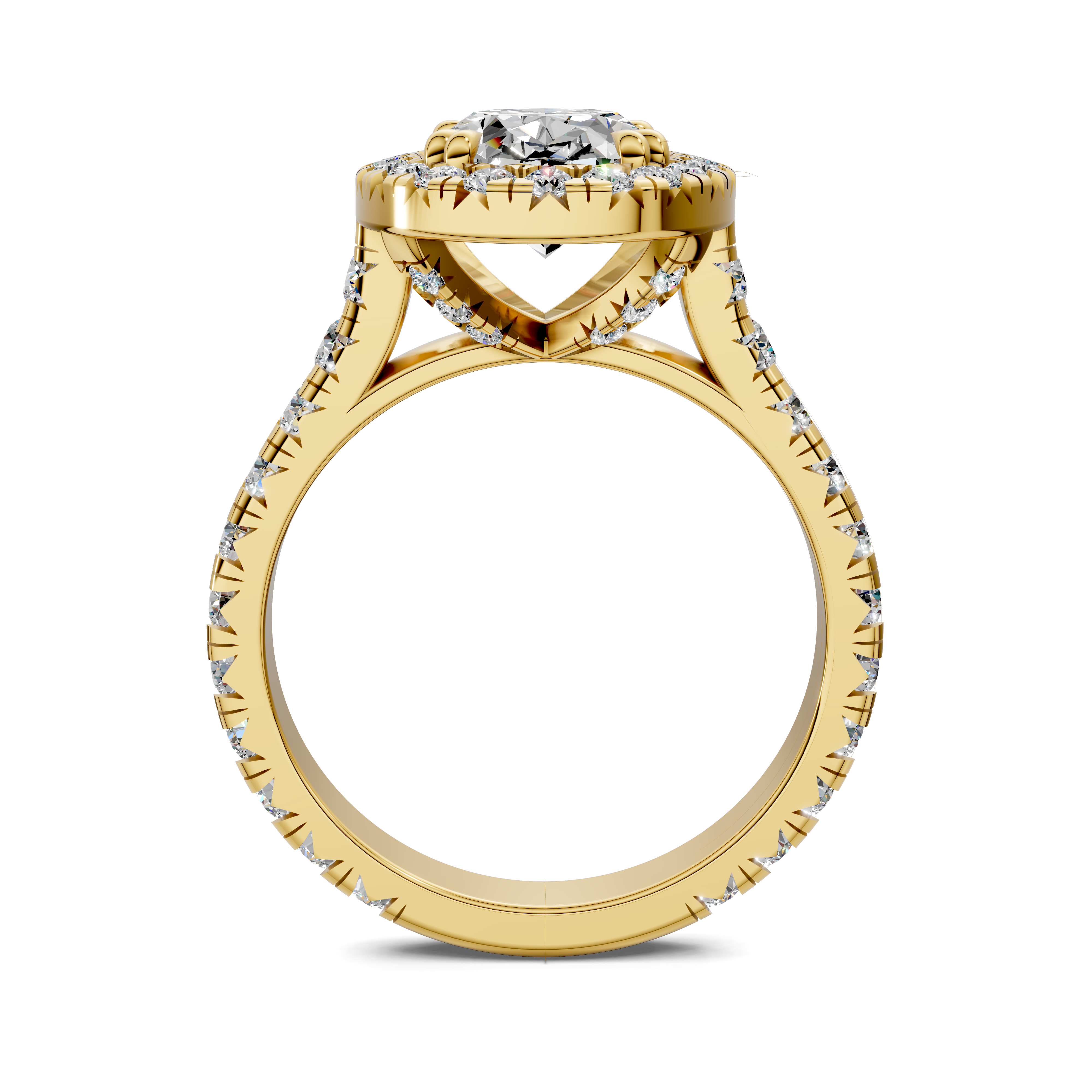 Bia Halo Three-Quarter Coverage Diamond Ring