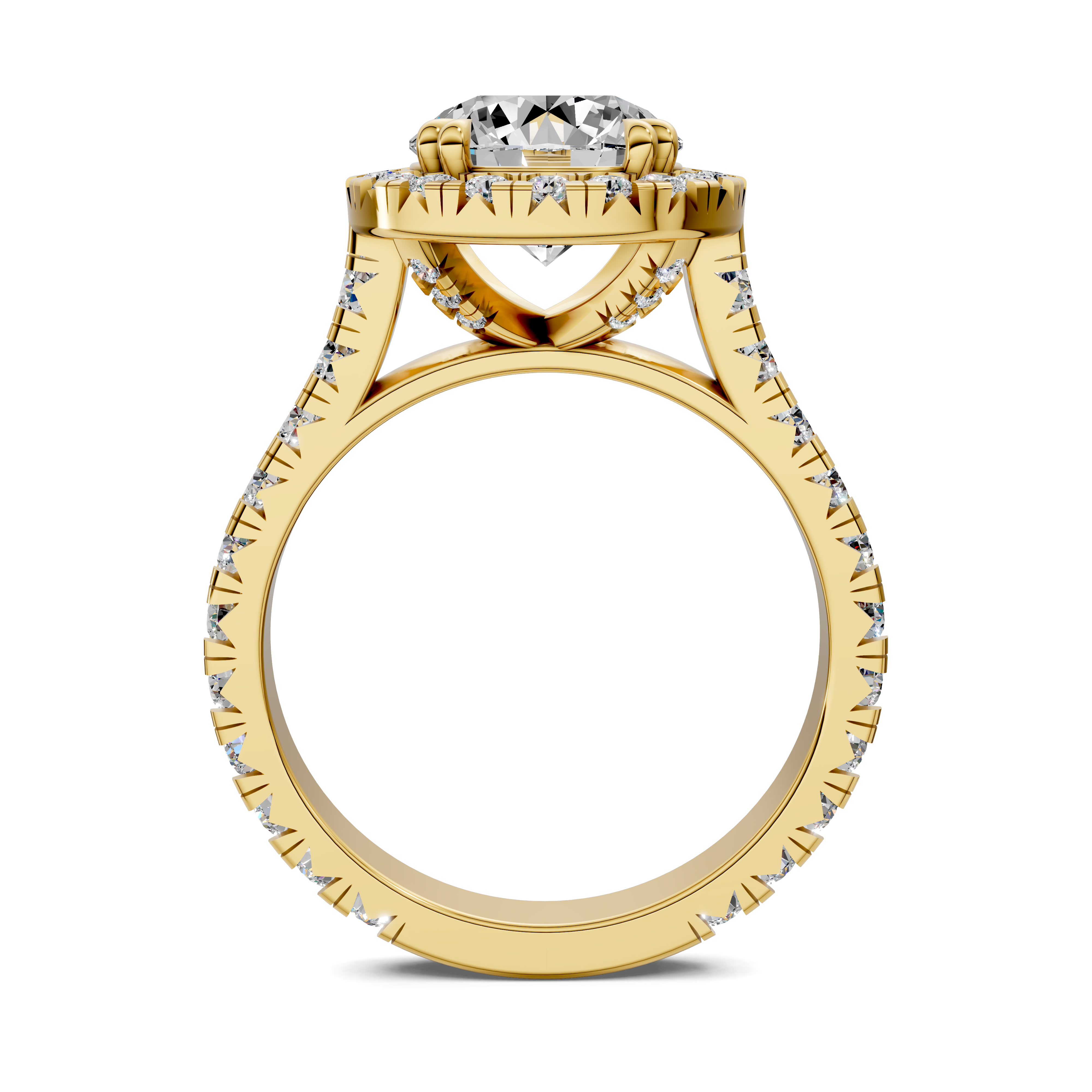 Achelois Round Halo Three-Quarter Coverage Diamond Ring